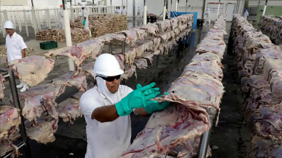 JBS e outras 22 produtoras de carne multadas por compra de gado ilegal