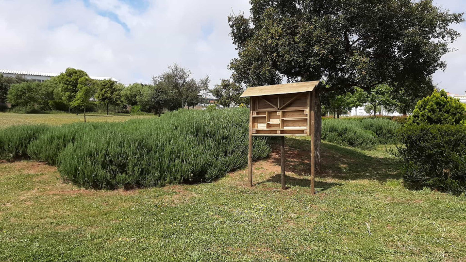 Cascais constrói "hotéis" para insetos, morcegos e aves em espaços verdes