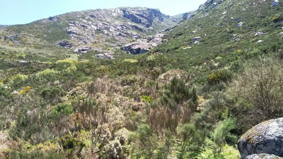 Exposição na Covilhã alerta para plástico deixado na serra da Estrela