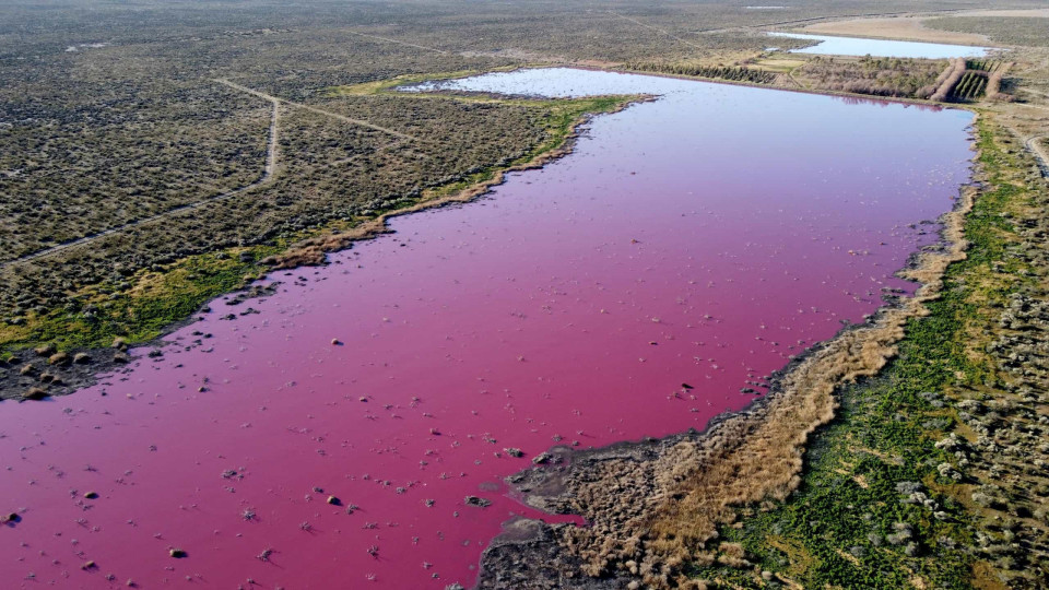 Poluição 'pinta' lagoa em tons de rosa na Argentina