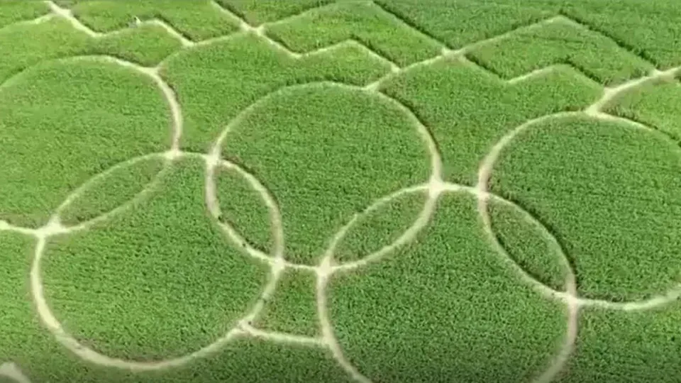 Família alemã cria labirinto em homenagem aos Jogos Olímpicos