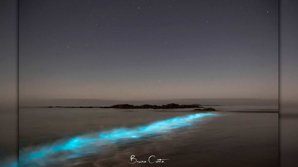 Ondas fluorescentes supreenderam vilacondenses na sexta-feira