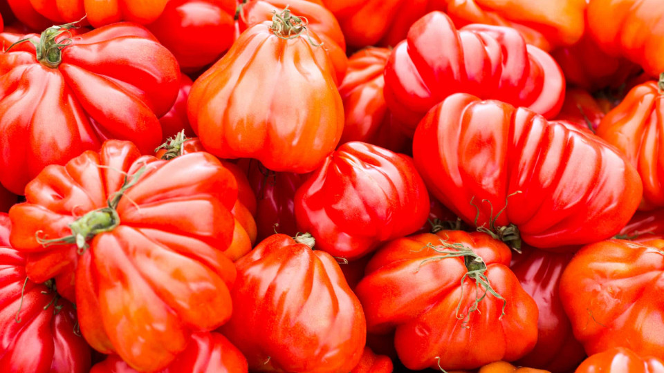 IVA Zero. Preço do tomate já desceu 35% desde abril