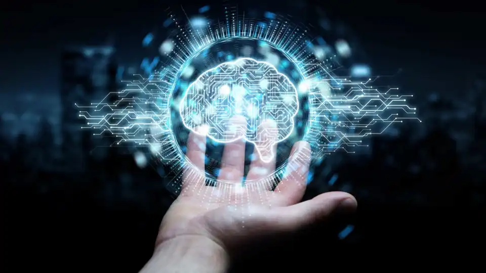 Projeto em Mação usa IA e memória das comunidades para pensar futuro