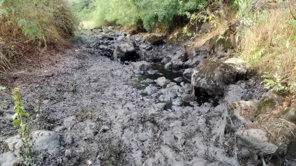 Detetada descarga ilegal de hidrocarbonetos para a água do rio Nabão