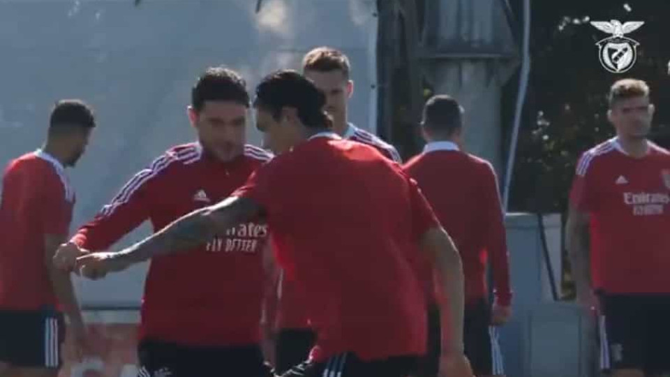 As imagens do último treino do Benfica antes da receção ao Bayern