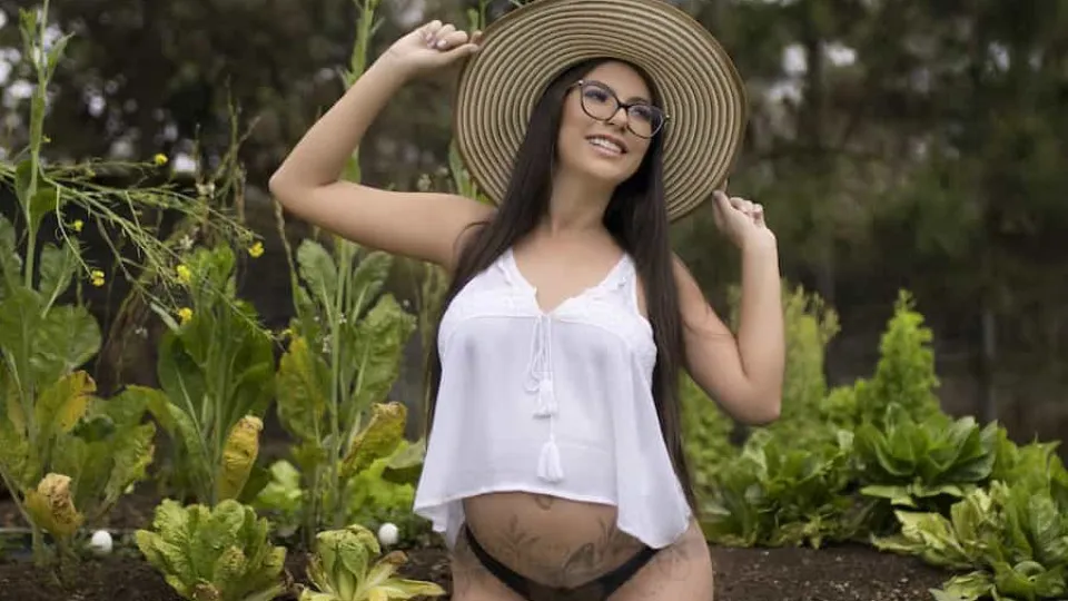 Notícia
