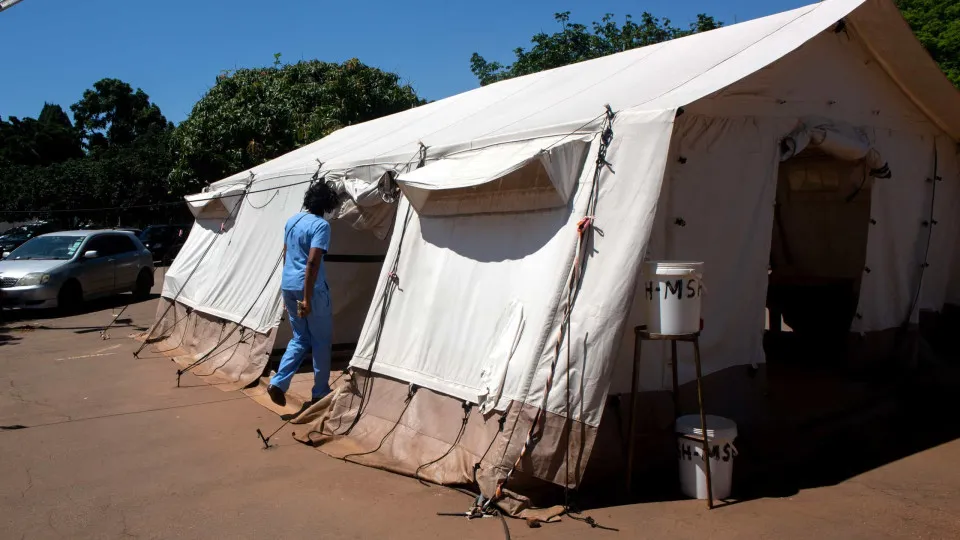 Curandeiros tradicionais devem ser envolvidos na saúde pública em África
