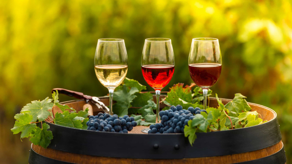 12 curiosidades sobre vinho que (muito provavelmente) desconhece