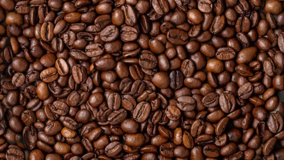 Brasil regista recorde de exportação de café