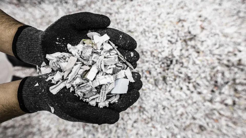Papiro envia mais de 1.215 toneladas de papel para reciclagem em 2021