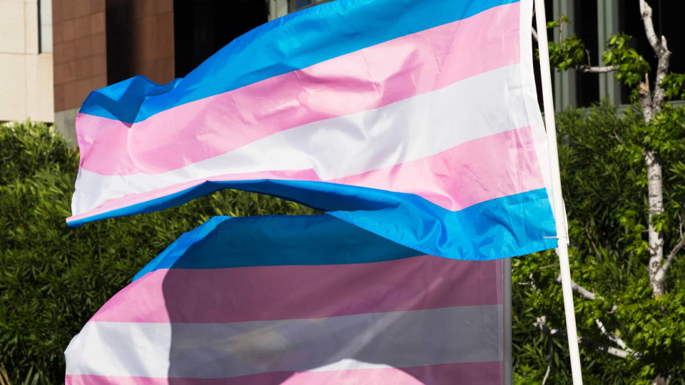Só em 2021, 140 pessoas transgénero foram assassinadas no Brasil 