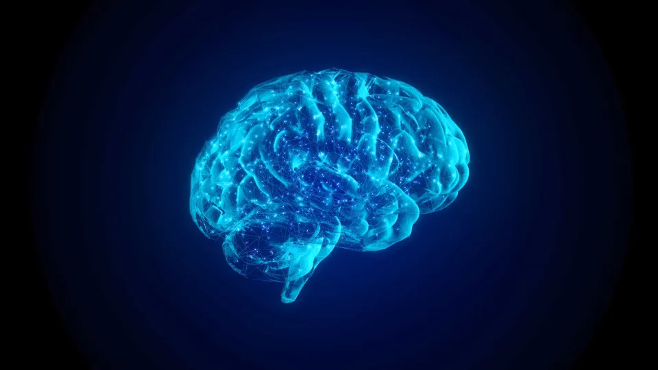 Cérebro encolhe com a Covid-19. A nova teoria de cientistas britânicos
