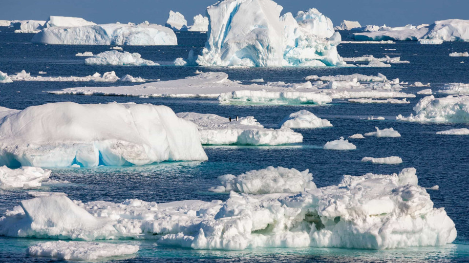 Ártico aqueceu quatro vezes mais rápido do que o esperado