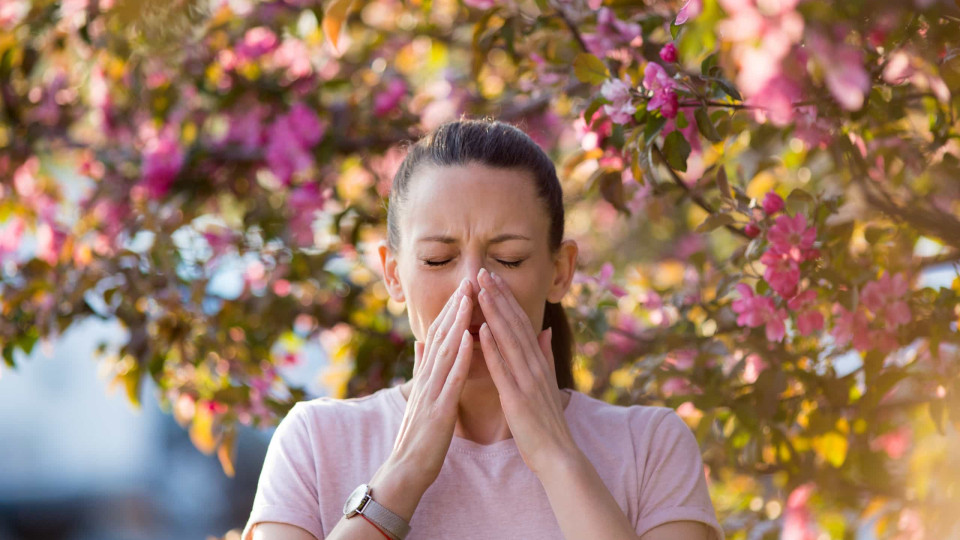 Alergias sazonais. Cinco conselhos para descansar em condições