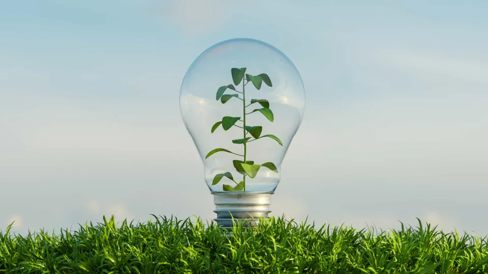 parque eólico, energias renováveis, ambiente, moinho, energia eólica, vento