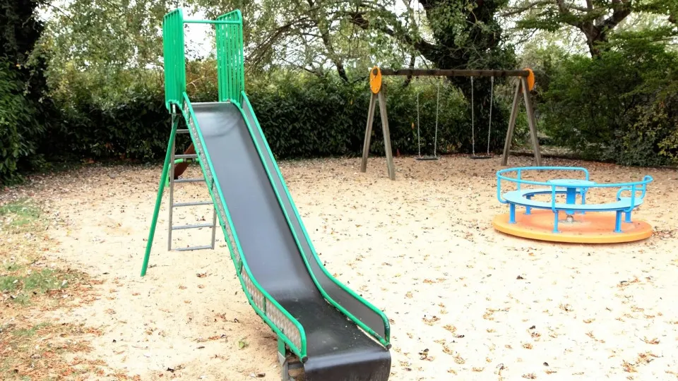 "Sem ela, a minha filha não estaria aqui". Ama salva bebé de rapto