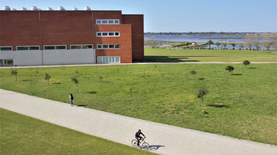 Mais de 250 mil embalagens deram "desconto em cartão" na Univ. de Aveiro