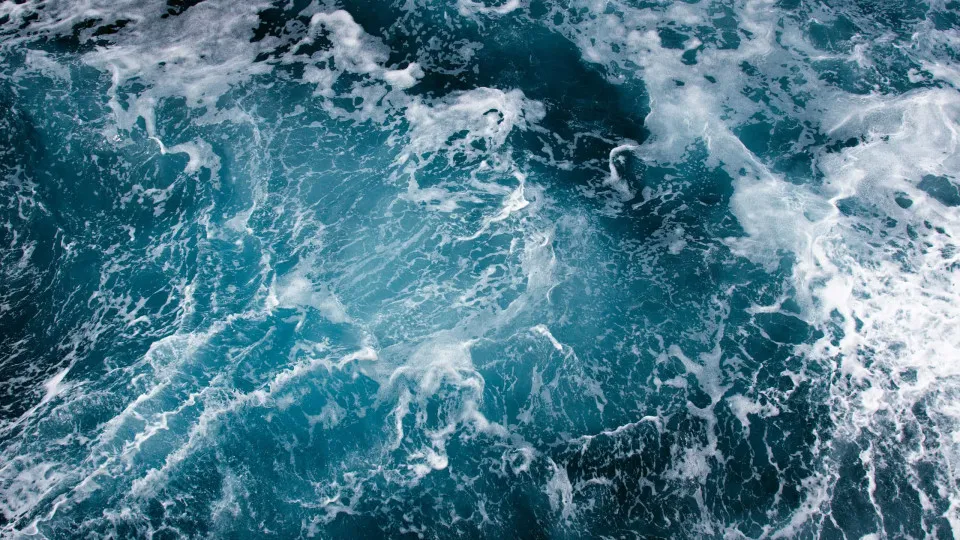 Oceanos. Números para compreender os mares e os problemas que enfrentam