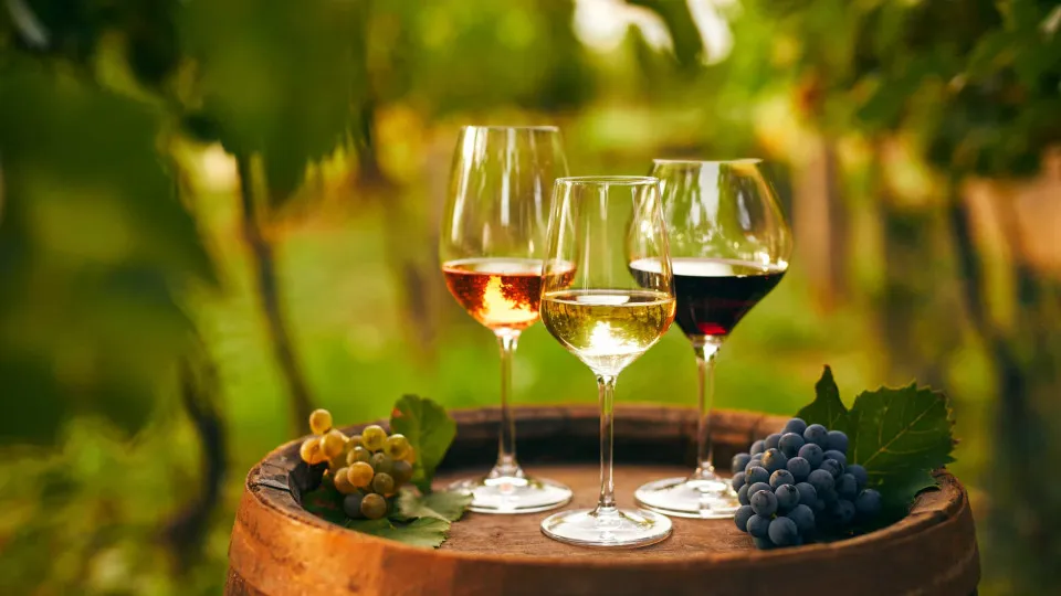 Conheça os três novos vinhos da Periquita