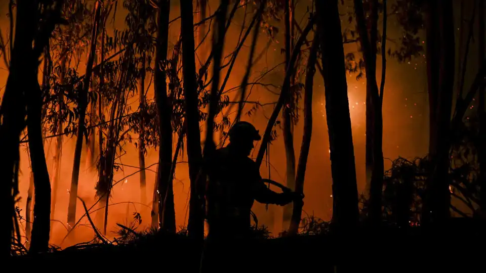 Fogo em mato em Tabuaço com uma frente ativa