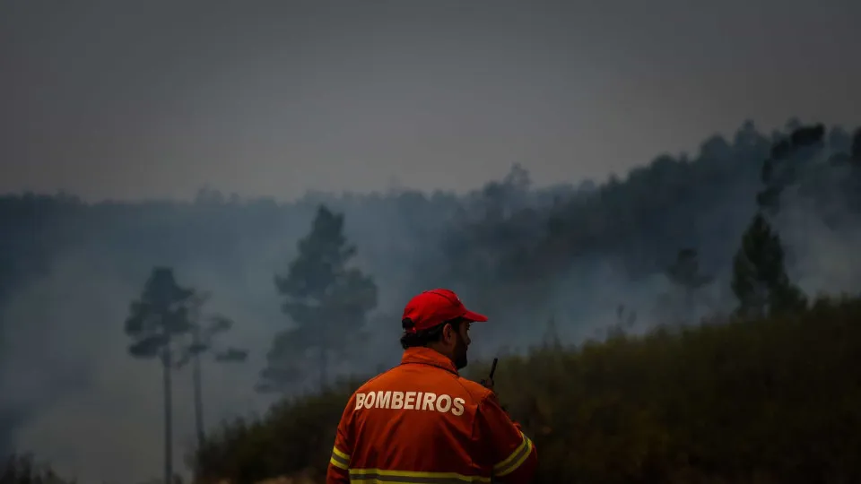 Liga defende comissão e relatório sobre fogo da serra da Estrela 