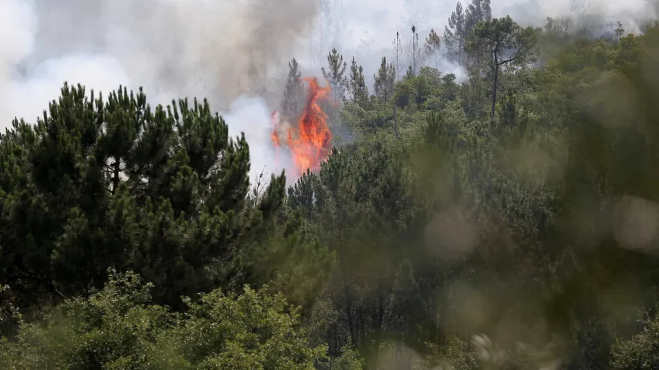 incêndios, leiria, pombal