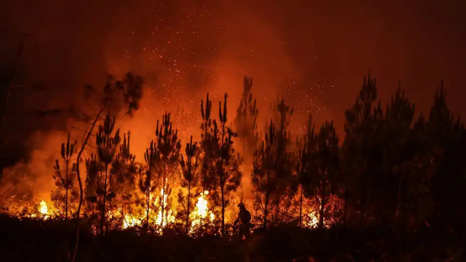 "Não são necessários tantos meios aéreos" para o combate aos incêndios