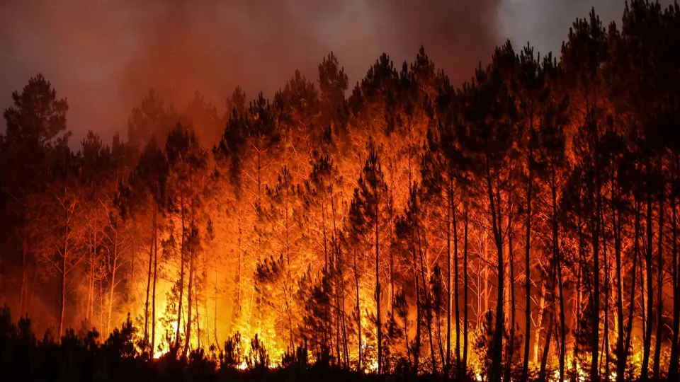 França: Quase 200 prisões relacionadas com fogos desde o início do verão