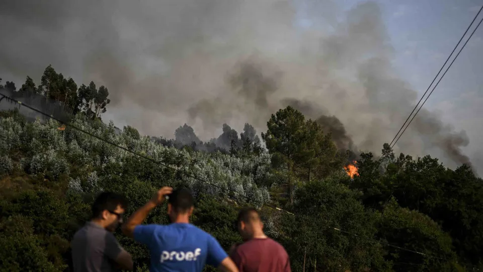 Incêndios, Portugal