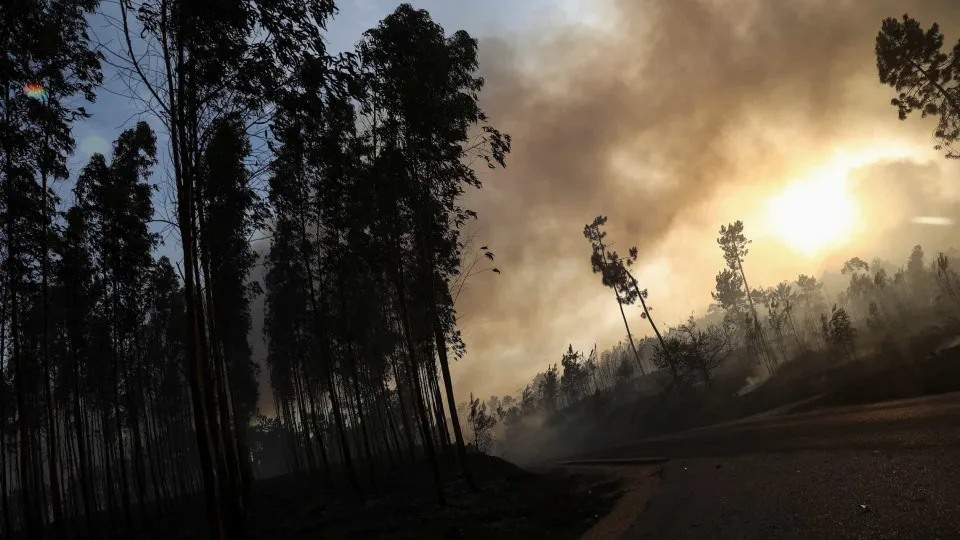 Detidos por incêndio pela GNR aumentaram 61% este ano num total de 58