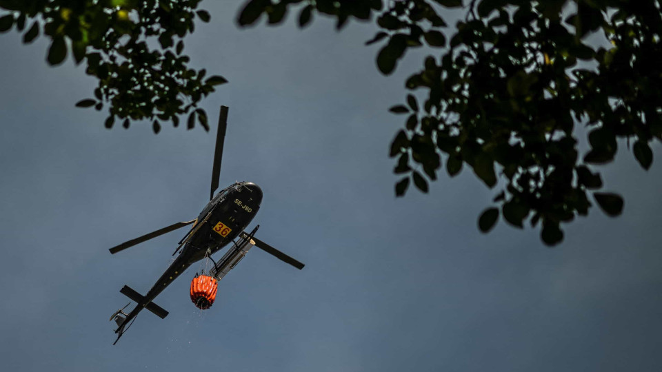 Quatro meios aéreos ajudam no combate a fogo em Leiria