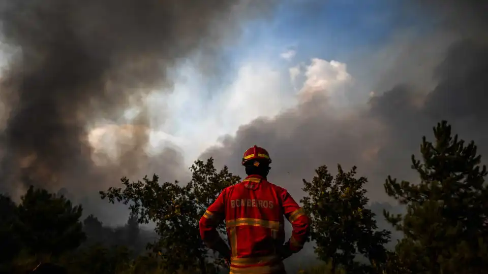 Chamas destruíram oito mil hectares em Penalva do Castelo