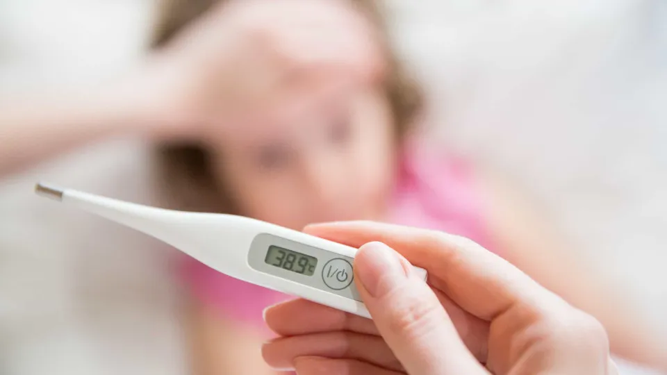 'Gripe do tomate'. Saiba quais os sintomas do vírus que circula na Índia
