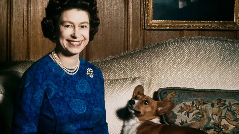 Isabel II tinha técnica curiosa (e infalível) para pôr corgis em silêncio