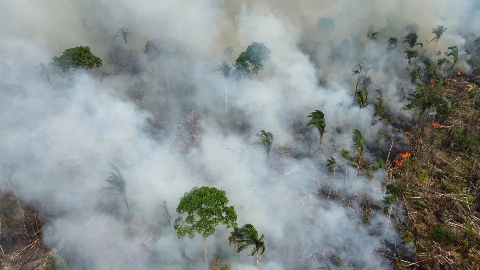 Brasil ultrapassa número de incêndios registado em todo o ano de 2021