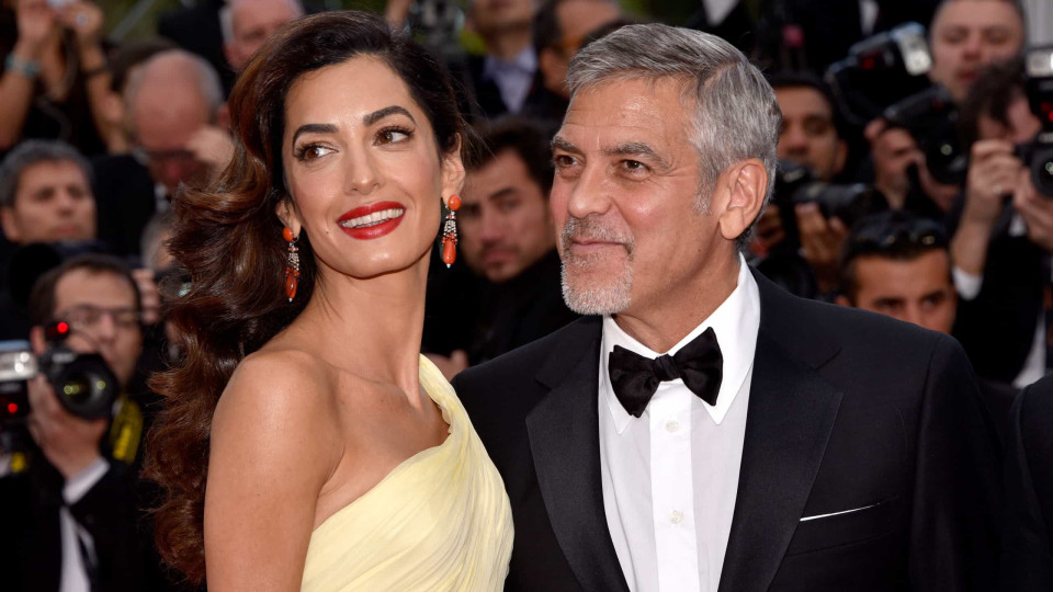 George e Amal Clooney aumentam família! Conheça o novo patudo do casal