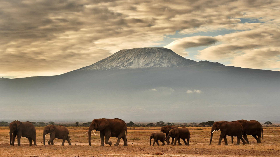 Centenas de bombeiros tanzanianos combatem incêndio no monte Kilimanjaro