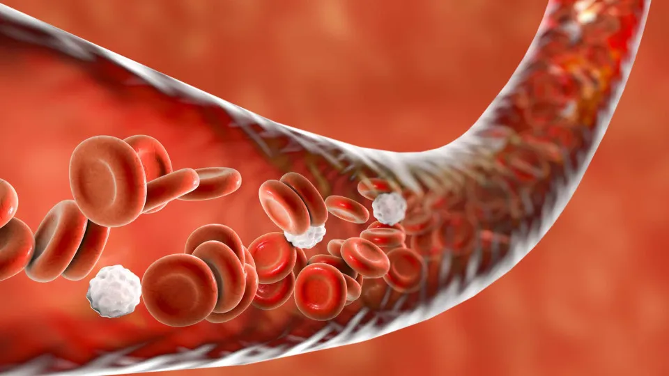 É assim que pode manter os níveis de açúcar no sangue equilibrados