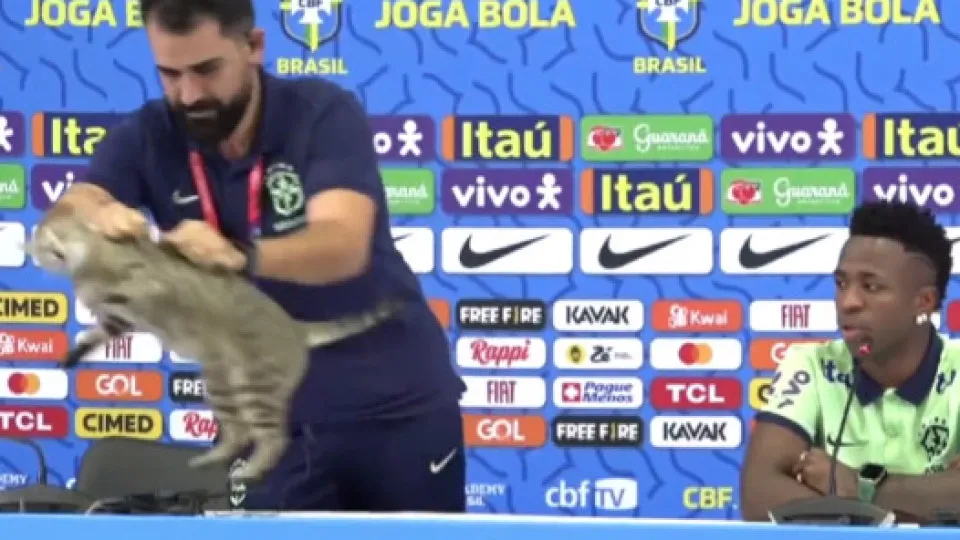 Gato invade conferência brasileira, assessor atira-o e choca jornalistas