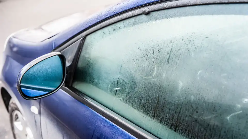 O truque para a humidade do carro que poucos conhecem. Funciona mesmo?