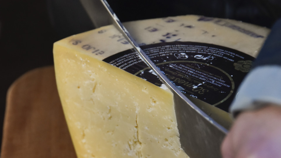 Açores vão candidatar queijo São Jorge DOP a património da UNESCO