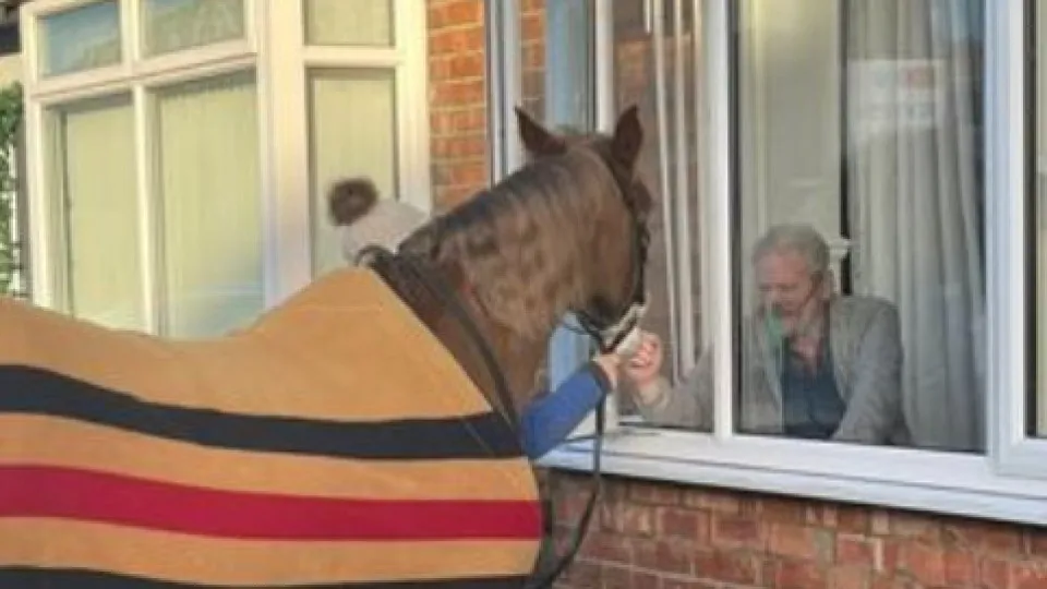 "Foi incrível!". Doente em cuidados paliativos recebe visita de cavalo