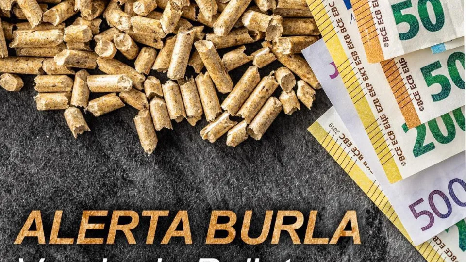 Burla na venda de pellets. GNR alerta para segurança de compras online