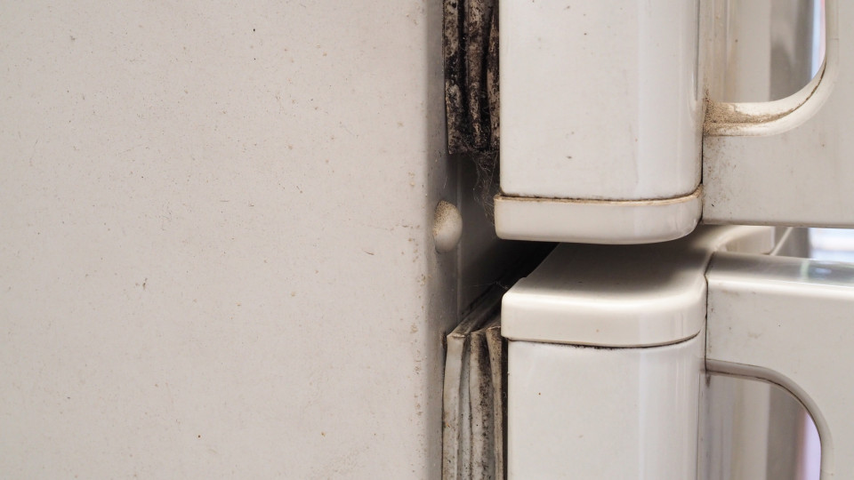 Três soluções caseiras para eliminar o bolor da borracha do frigorífico