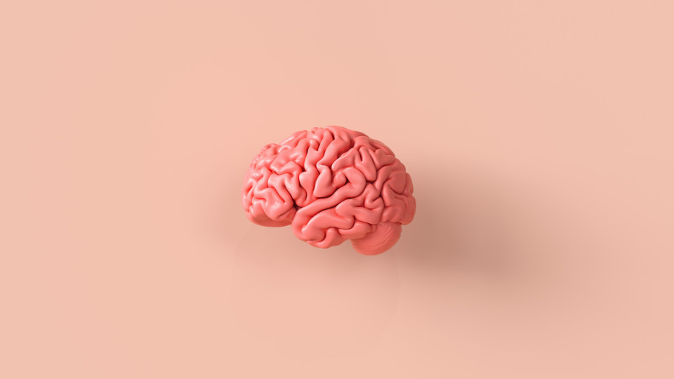 Five tricks from a neuroscientist to strengthen your memory