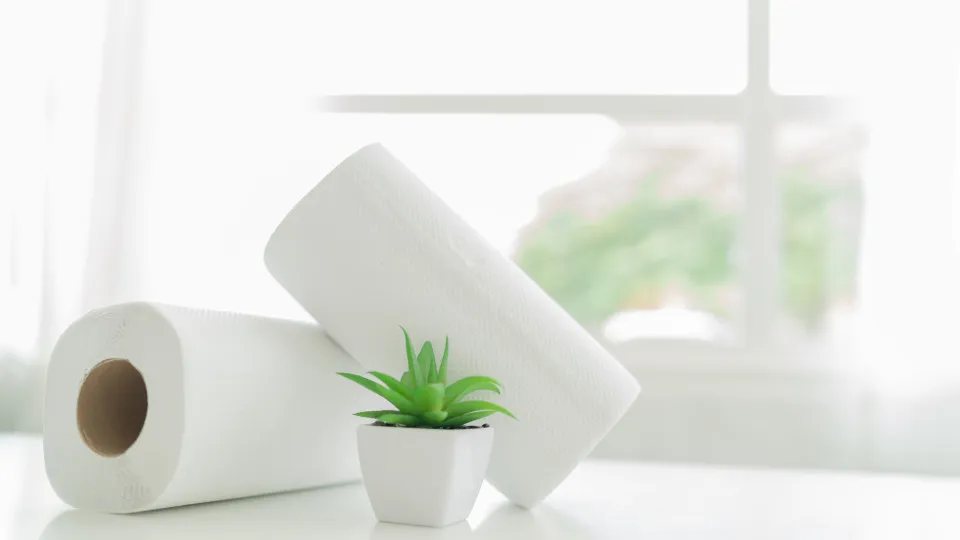 O papel de cozinha pode ser um grande aliado na rega das plantas