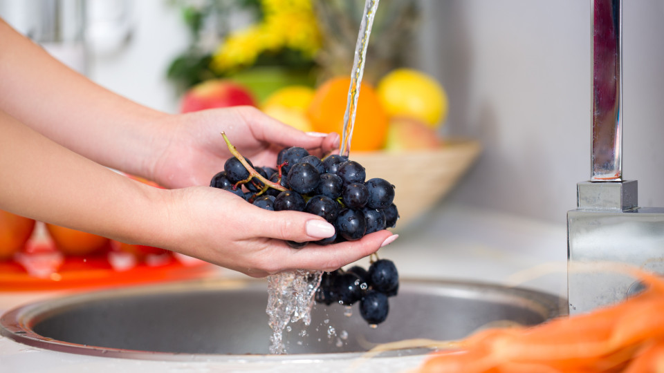 Andamos todos a lavar mal as frutas e vegetais? Cientistas esclarecem!