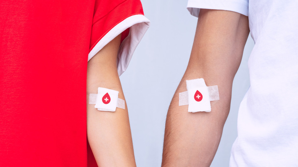 SNS apela a doação de sangue e relembra: "Pode salvar até três vidas"