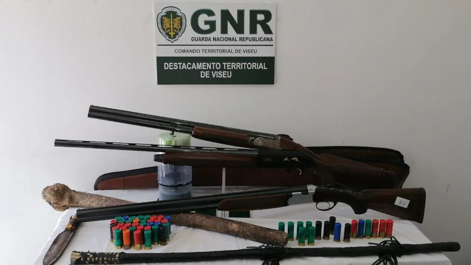 Notícia